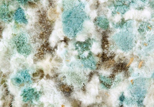 Does a 10x20x2 Air Filter Help With Mold Spores?