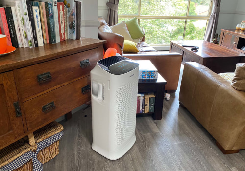 The Air Filter Versus the Air Purifier Showdown